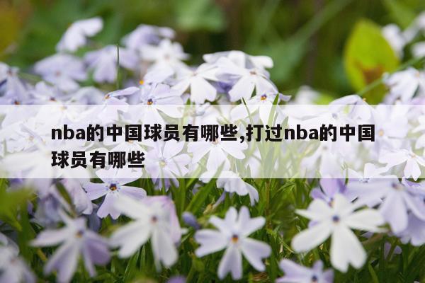 nba的中国球员有哪些,打过nba的中国球员有哪些