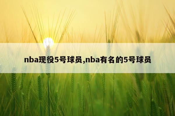 nba现役5号球员,nba有名的5号球员
