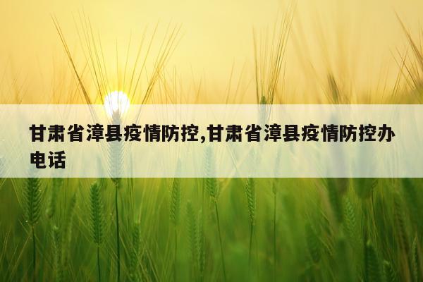 甘肃省漳县疫情防控,甘肃省漳县疫情防控办电话