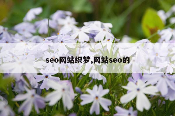 seo网站织梦,网站seo的