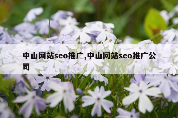 中山网站seo推广,中山网站seo推广公司