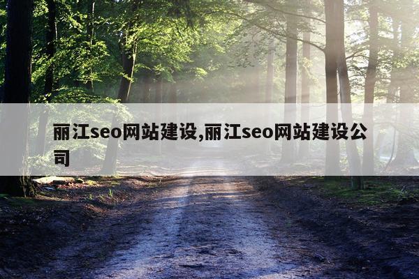 丽江seo网站建设,丽江seo网站建设公司