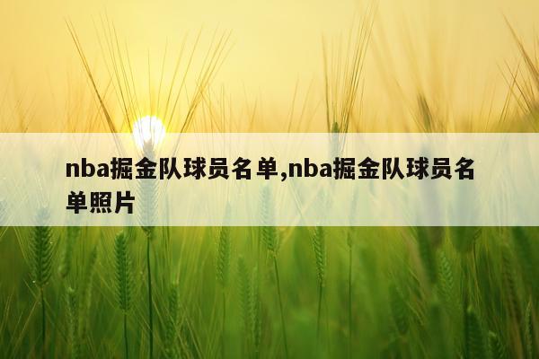 nba掘金队球员名单,nba掘金队球员名单照片