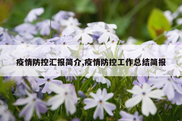 疫情防控汇报简介,疫情防控工作总结简报