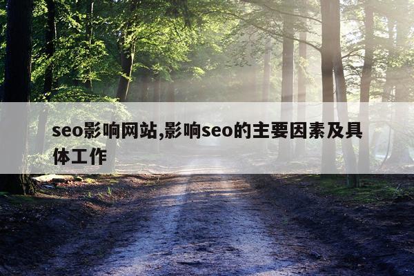seo影响网站,影响seo的主要因素及具体工作