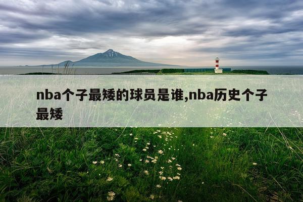 nba个子最矮的球员是谁,nba历史个子最矮