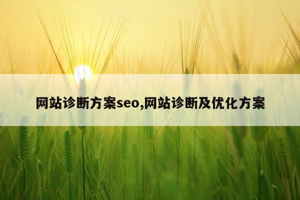 网站诊断方案seo,网站诊断及优化方案
