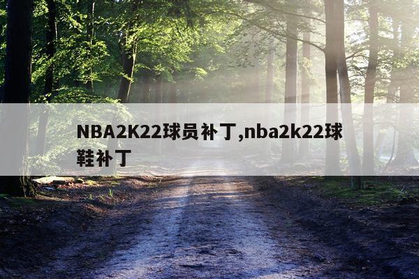 NBA2K22球员补丁,nba2k22球鞋补丁