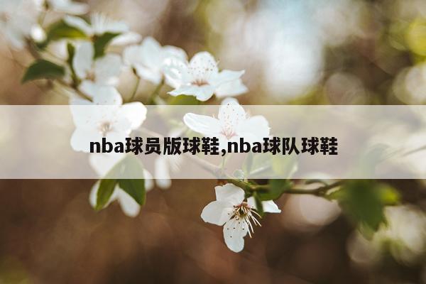 nba球员版球鞋,nba球队球鞋