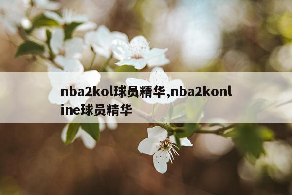 nba2kol球员精华,nba2konline球员精华