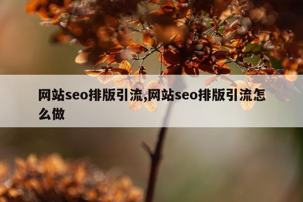 网站seo排版引流,网站seo排版引流怎么做