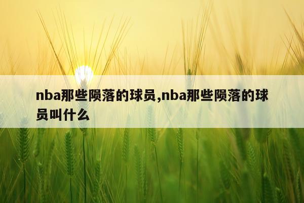 nba那些陨落的球员,nba那些陨落的球员叫什么