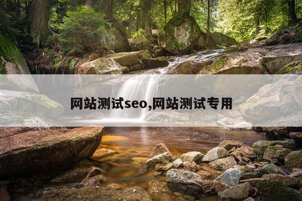 网站测试seo,网站测试专用