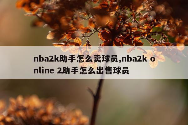 nba2k助手怎么卖球员,nba2k online 2助手怎么出售球员