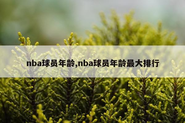 nba球员年龄,nba球员年龄最大排行