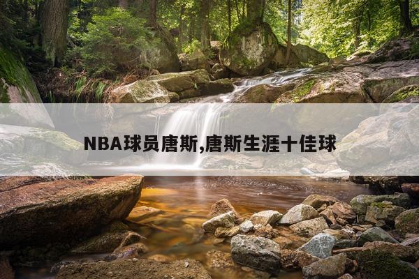 NBA球员唐斯,唐斯生涯十佳球