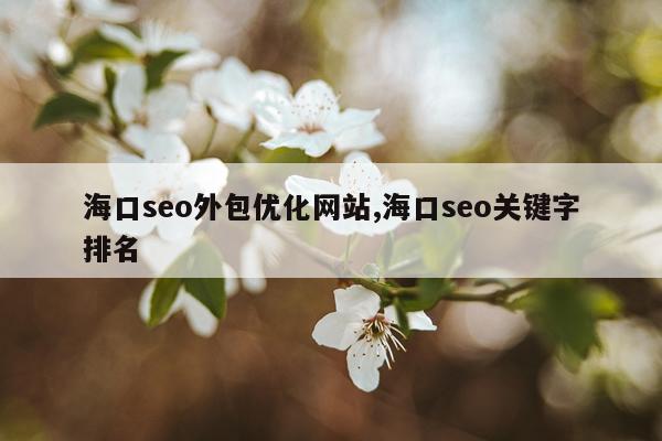 海口seo外包优化网站,海口seo关键字排名