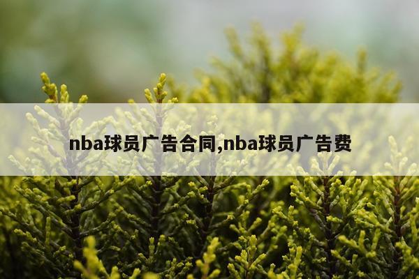 nba球员广告合同,nba球员广告费
