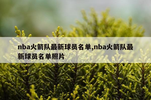 nba火箭队最新球员名单,nba火箭队最新球员名单照片