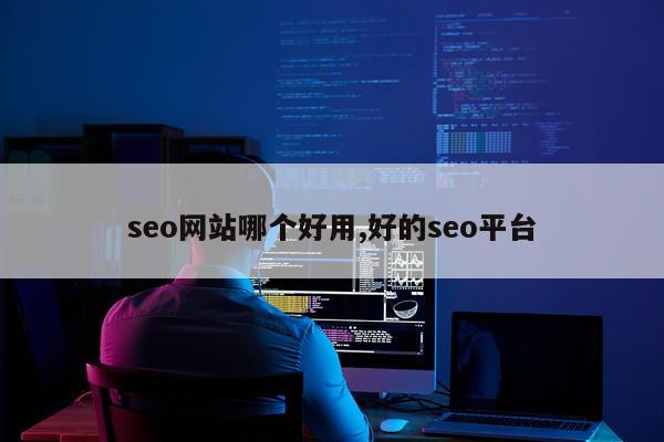 seo网站哪个好用,好的seo平台