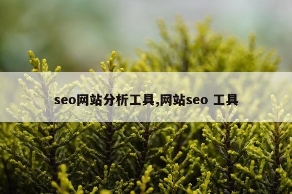 seo网站分析工具,网站seo 工具
