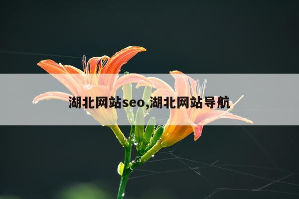 湖北网站seo,湖北网站导航