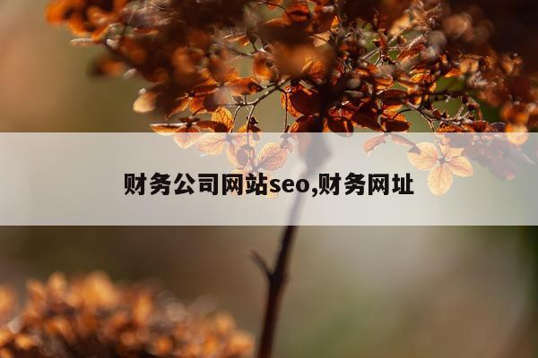 财务公司网站seo,财务网址