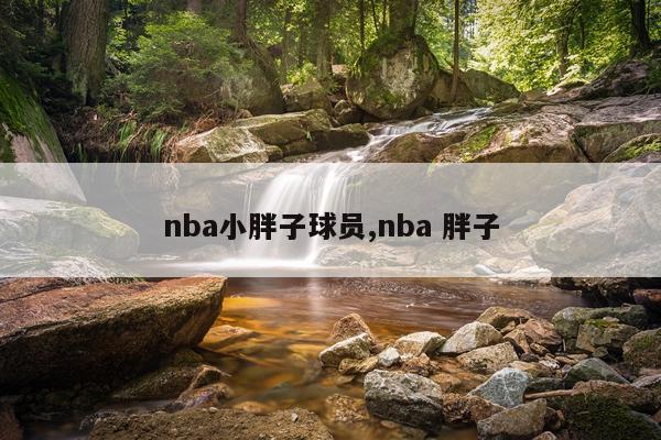 nba小胖子球员,nba 胖子