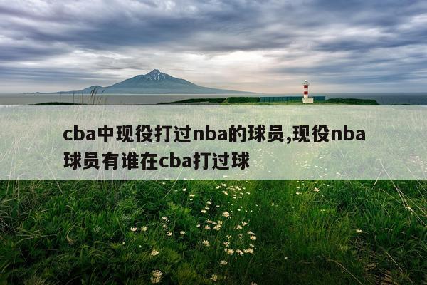 cba中现役打过nba的球员,现役nba球员有谁在cba打过球
