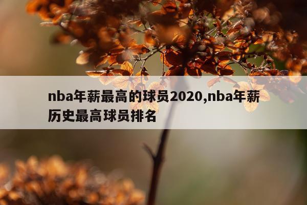 nba年薪最高的球员2020,nba年薪历史最高球员排名