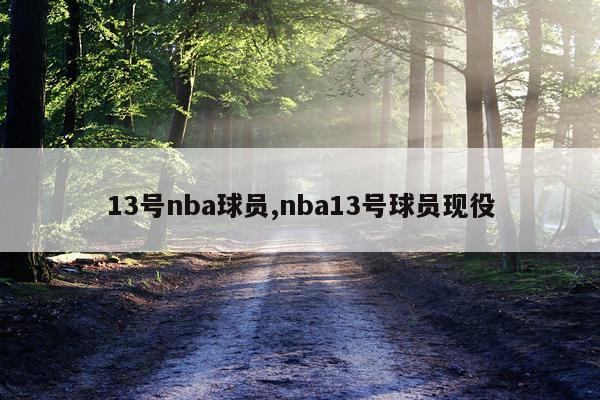 13号nba球员,nba13号球员现役