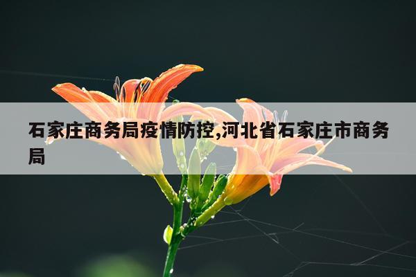 石家庄商务局疫情防控,河北省石家庄市商务局