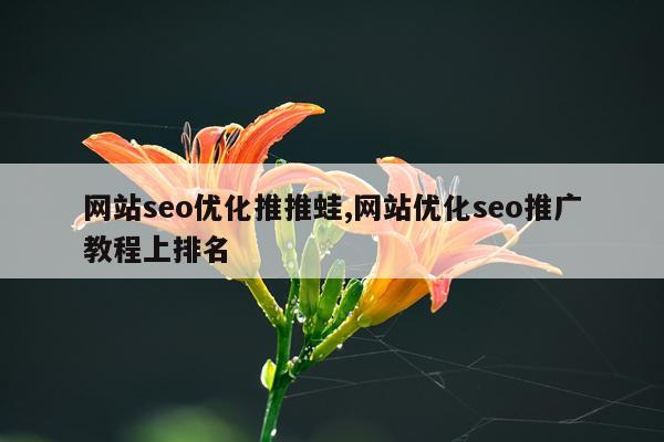 网站seo优化推推蛙,网站优化seo推广教程上排名