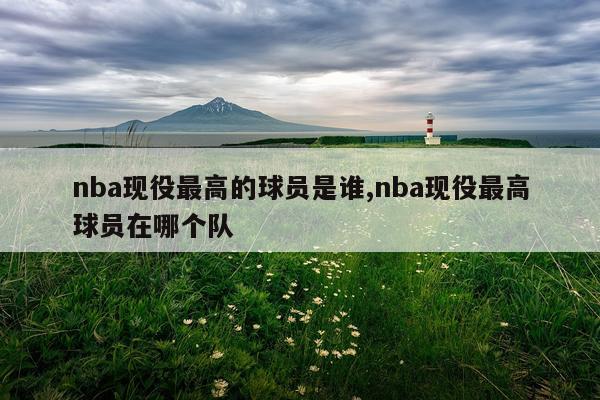 nba现役最高的球员是谁,nba现役最高球员在哪个队