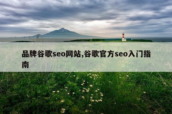 品牌谷歌seo网站,谷歌官方seo入门指南