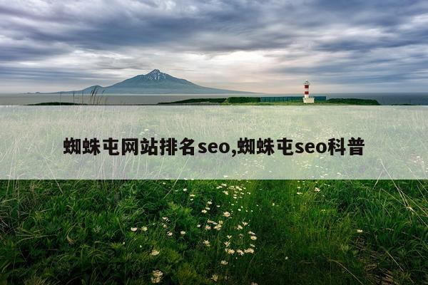 蜘蛛屯网站排名seo,蜘蛛屯seo科普