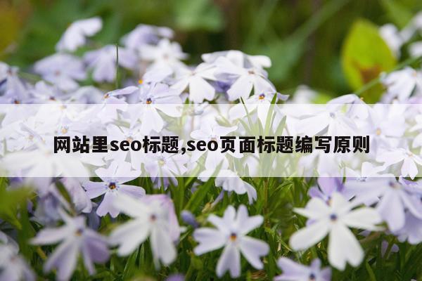 网站里seo标题,seo页面标题编写原则