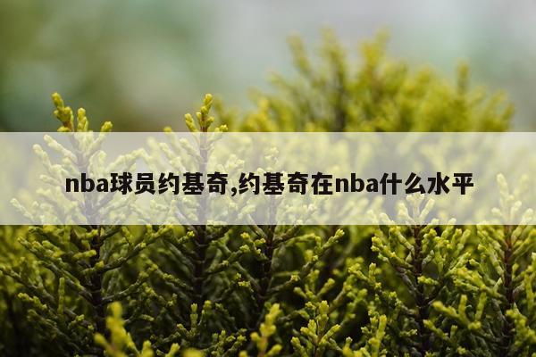 nba球员约基奇,约基奇在nba什么水平