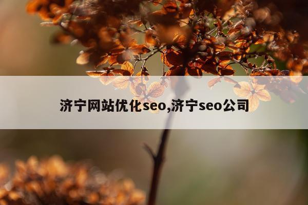 济宁网站优化seo,济宁seo公司