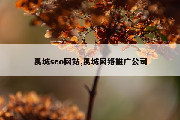 禹城seo网站,禹城网络推广公司