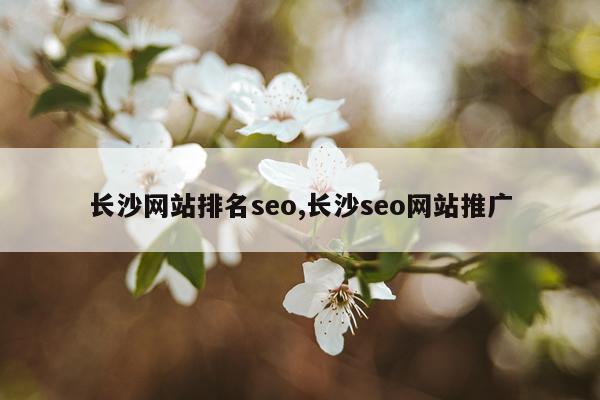 长沙网站排名seo,长沙seo网站推广