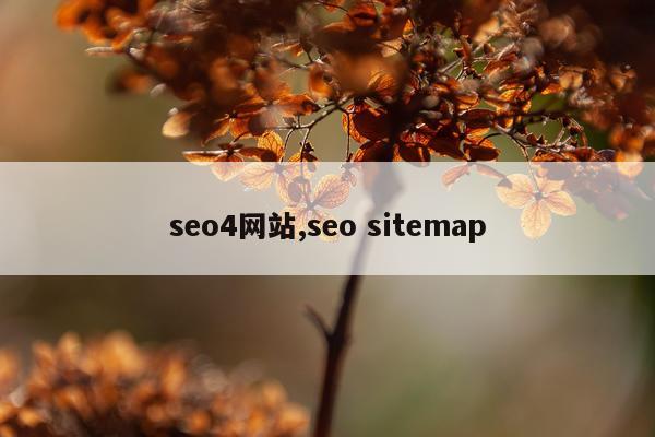 seo4网站,seo sitemap
