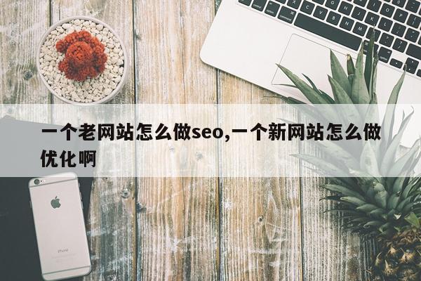 一个老网站怎么做seo,一个新网站怎么做优化啊