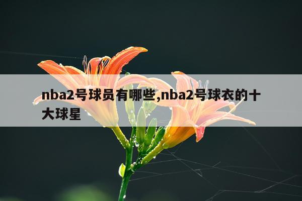 nba2号球员有哪些,nba2号球衣的十大球星