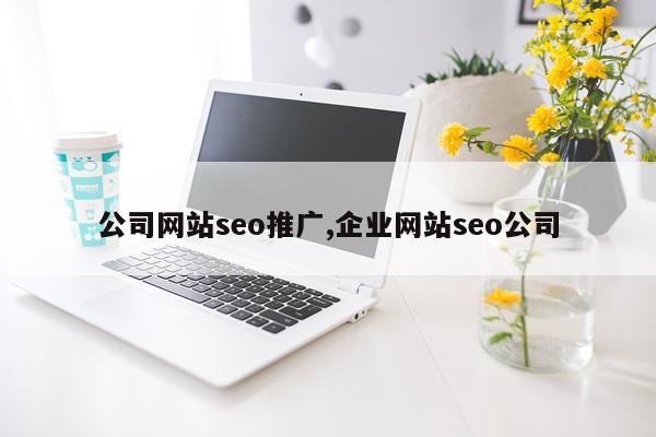 公司网站seo推广,企业网站seo公司