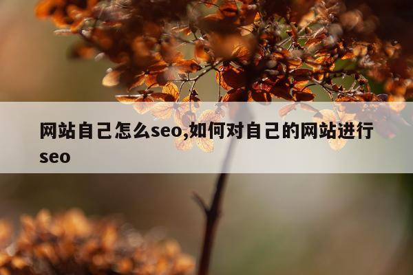 网站自己怎么seo,如何对自己的网站进行seo