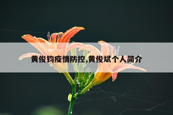 黄俊钧疫情防控,黄俊斌个人简介