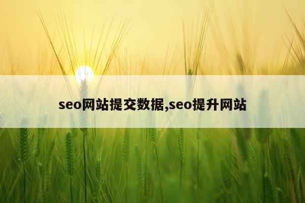 seo网站提交数据,seo提升网站