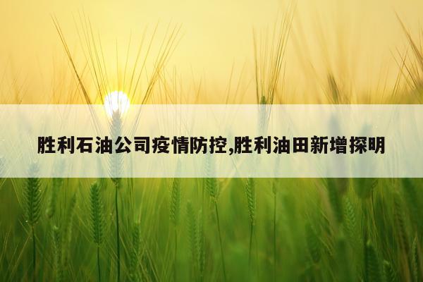 胜利石油公司疫情防控,胜利油田新增探明