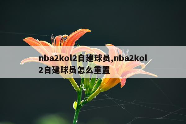 nba2kol2自建球员,nba2kol2自建球员怎么重置